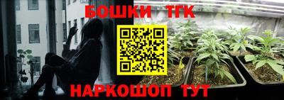 гашик Магадан